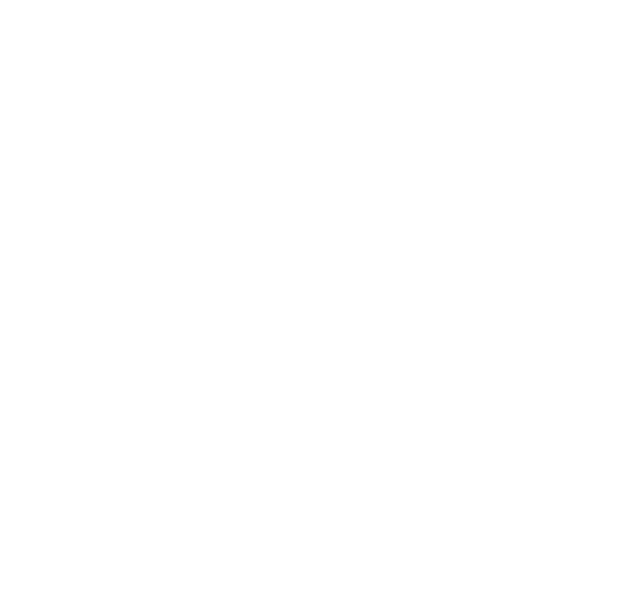 physionexum Logo